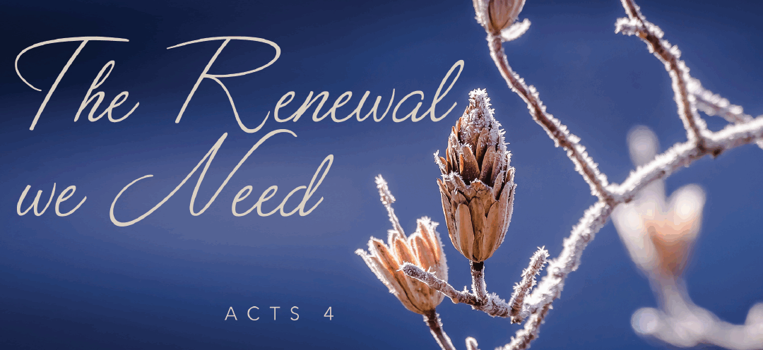 The Renewal We Need