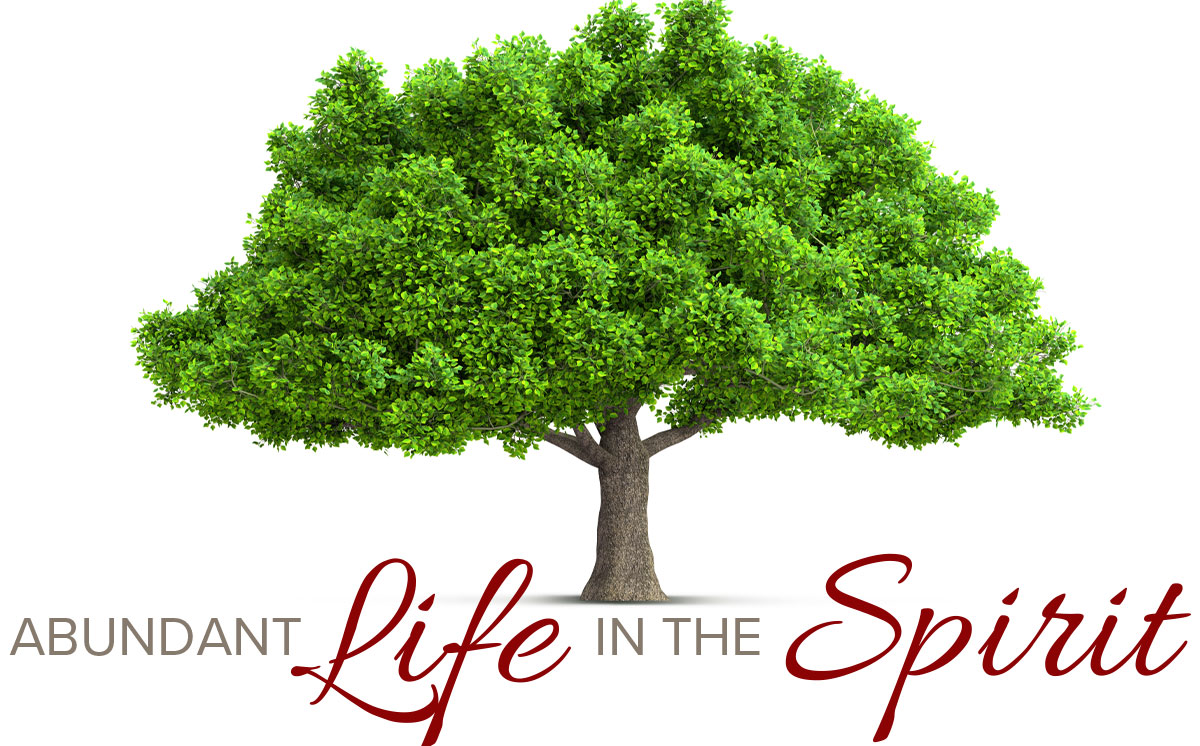 Abundant Life in the Spirit Abundant Life in the Spirit